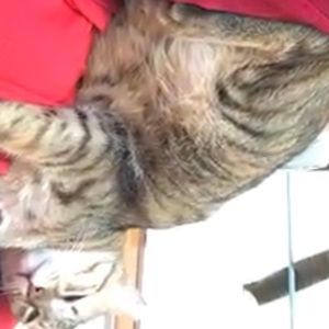 Meet your Posher, Kai